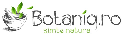 logo botaniq