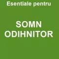 Somn odihnitor