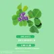 Desmodium 2500 (20 fiole), Santarome
