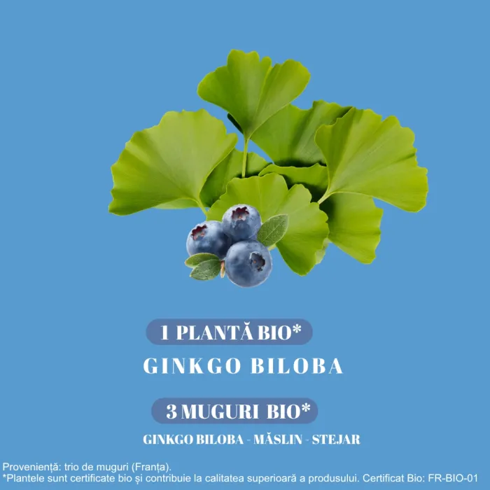 Ginkgo Bio 2000 (20 fiole), Santarome
