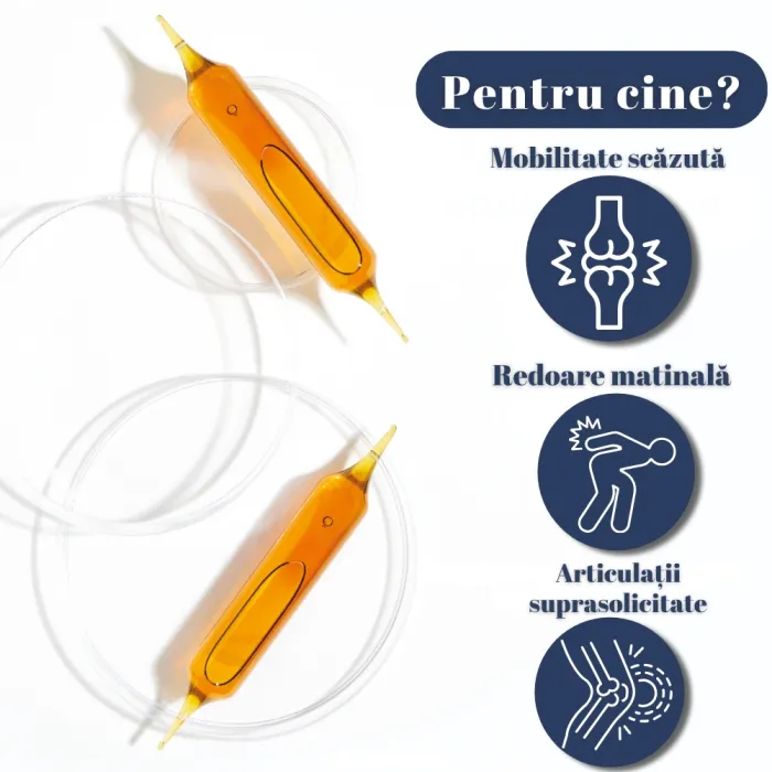 Confort Articular (20 fiole), Santarome