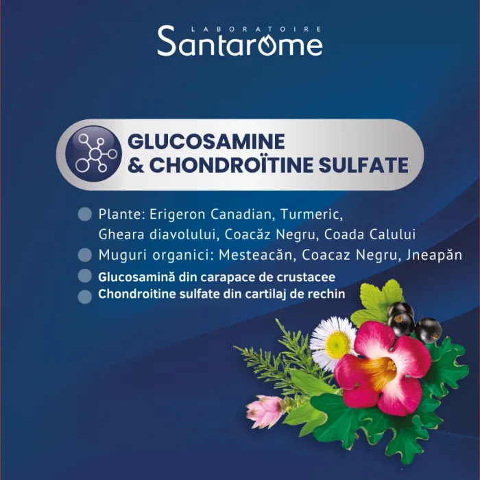 Confort Articular (20 fiole), Santarome