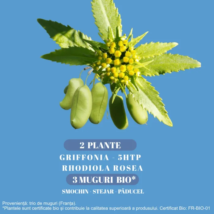 Griffonia Rhodiola (20 fiole), Santarome