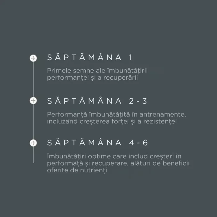 True Creatine+ (180g), Ancient and Brave