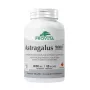 Astragalus 9000 Forte (60 capsule), Provita Nutrition