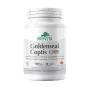 Goldenseal Coptis C1000 Forte (90 capsule), Provita Nutrition