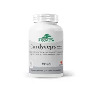 Cordyceps CSM-2000 (90 capsule), Provita Nutrition