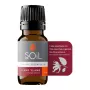Ulei Esential Ylang Ylang 100% Organic (10 ml), SOiL