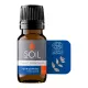 Ulei Esential Menta 100% Organic (10 ml), SOiL