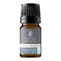 Ulei Esential Tamaie 100% Organic (5 ml), SOiL
