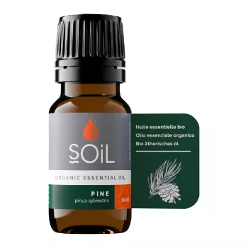 Ulei Esential Pin 100% Organic (10 ml), SOiL