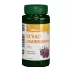 Extract de Armurariu (Silimarina) 500 mg (80 capsule), Vitaking