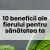 10 beneficii ale fierului pentru sănătatea ta