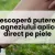 Descoperă puterea magneziului aplicat direct pe piele