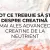 Tot ce trebuie să știi despre creatină mai ales Advanced Creatine de la Neutrient