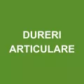 Dureri articulare