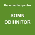Somn odihnitor