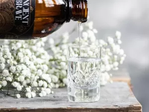 Ce este uleiul MCT? Clasificare. Diete. Efecte secundare. Recomandări culinare. Ce este uleiul MCT? Clasificare. Diete. Efecte secundare. Recomandări culinare.