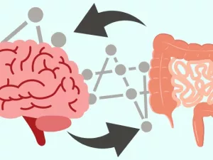 Viata secreta a intestinului Partea I. Comunicarea creier intestin