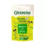 Rucola seminte pentru germinat eco (100 grame), Germline