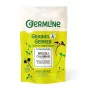 Broccoli calabresse pentru germinat eco (100 grame), Germline