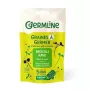 Seminte de Broccoli Rabe pentru germinat eco (150 grame), Germline