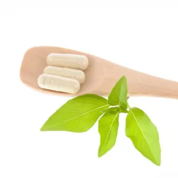 HistaminBalance Plus (60 capsule)