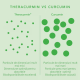Curcumin Theracurmin Plus Boswellia Phytosome (60 capsule), Neutrient