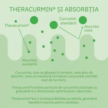 Curcumin Theracurmin Plus Boswellia Phytosome (60 capsule), Neutrient 