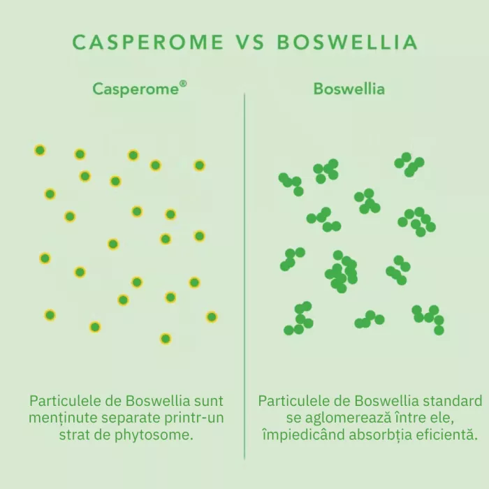Curcumin Theracurmin Plus Boswellia Phytosome (60 capsule), Neutrient