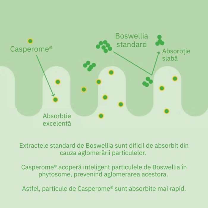 Curcumin Theracurmin Plus Boswellia Phytosome (60 capsule), Neutrient
