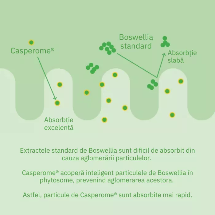 Curcumin Theracurmin Plus Boswellia Phytosome (60 capsule), Neutrient