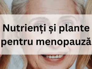 Nutrienți și plante pentru menopauză