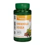 Rhodiola 1000 mg (60 capsule), Vitaking