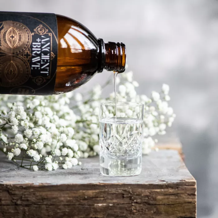 True MCT Oil 500 ml (50 portii), Ancient and Brave