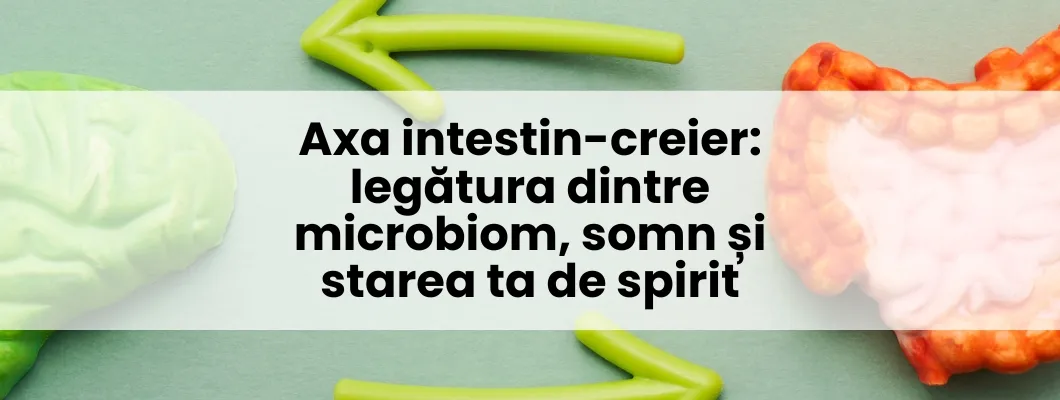 Axa intestin-creier: legătura dintre microbiom, somn și starea ta de spirit