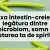 Axa intestin-creier: legătura dintre microbiom, somn și starea ta de spirit