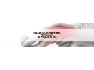 Colagenul și Confortul Articular, Ce Trebuie Să Știi