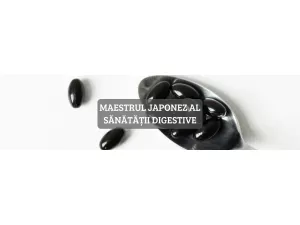 Maestrul japonez al sănătății digestive