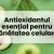 Antioxidantul esențial pentru sănătatea celulară