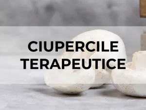 Ciupercile Terapeutice - De la traditie la stiinta