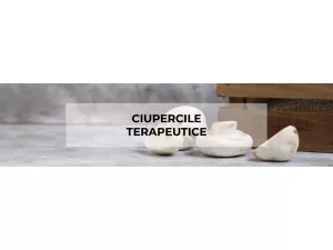 Ciupercile Terapeutice - De la traditie la stiinta