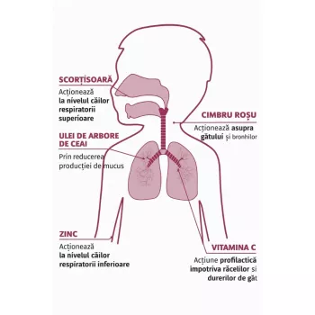 BabyGola Spray Pentru Gat (15ml), Erbenobili