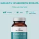 Magneziu - Formula cu 4 chelați (120 capsule), Neutrient