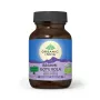 Brahmi - Gotu Kola - creier si sistem nervos (60 capsule), Organic India