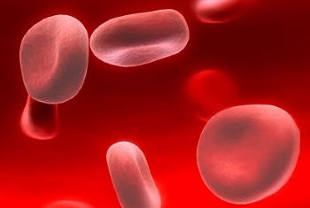 Fierul - nutrientul esential care ajuta la reducerea oboselii si intarirea sistemului imunitar