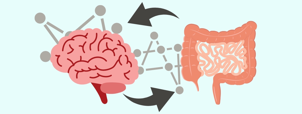 Viata secreta a intestinului Partea I. Comunicarea creier intestin