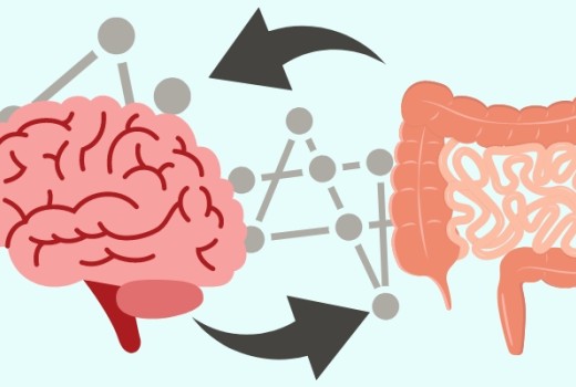 Viata secreta a intestinului Partea I. Comunicarea creier intestin