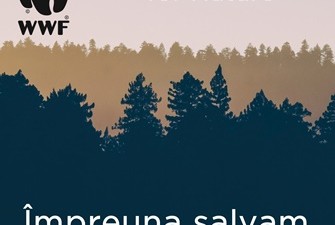 Împreună salvăm pădurile României