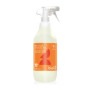 Detergent ecologic pentru uz general cu portocale (1 litru), Biolu